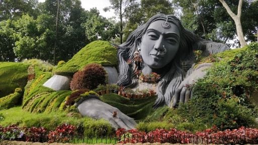 Bhadra Wildlife Sanctuary-3